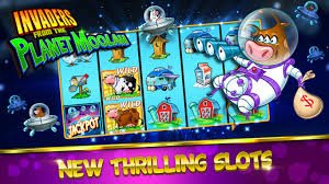 Blackjack live dengan dealer profesional Dealer langsung dalam studio pikad4d melayani permainan blackjack di iOS Web Safari